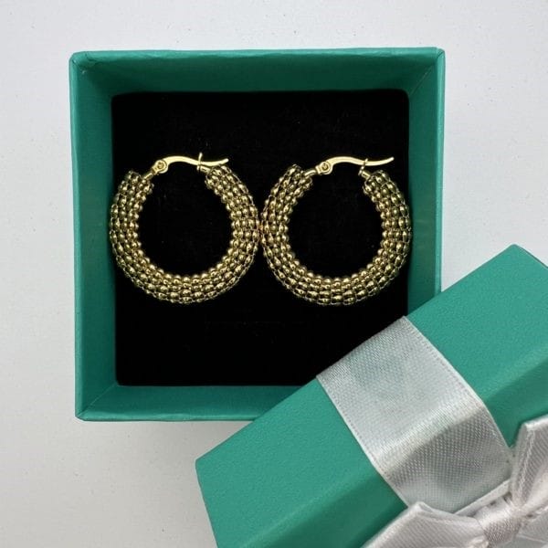 საყურეები "რგოლები"